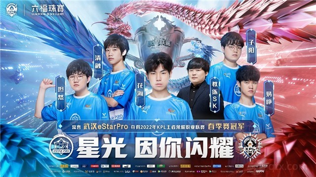 他的表述不